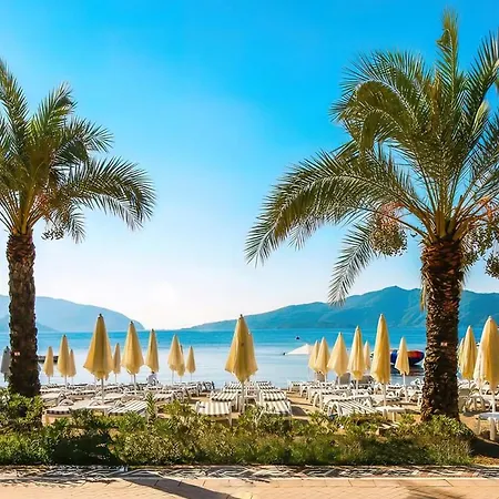 فندق Aurasia Sea Side 3*